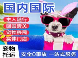 张家口航空运输国际宠物托运 【国